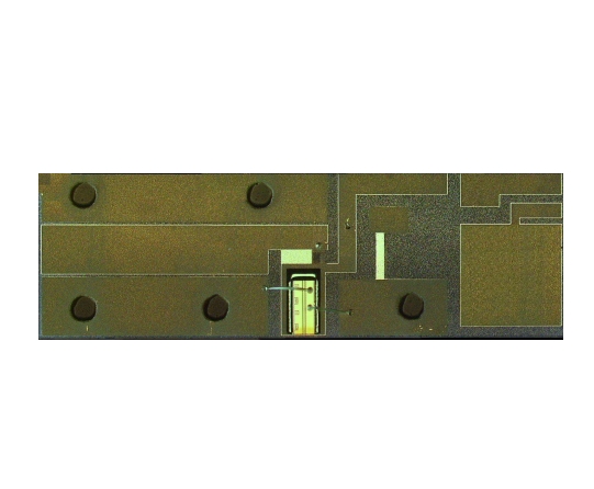 法国3SP Technologies 1953LCV1激光芯片,进口微型硅芯片,3SP Technologies 半导体激光芯片