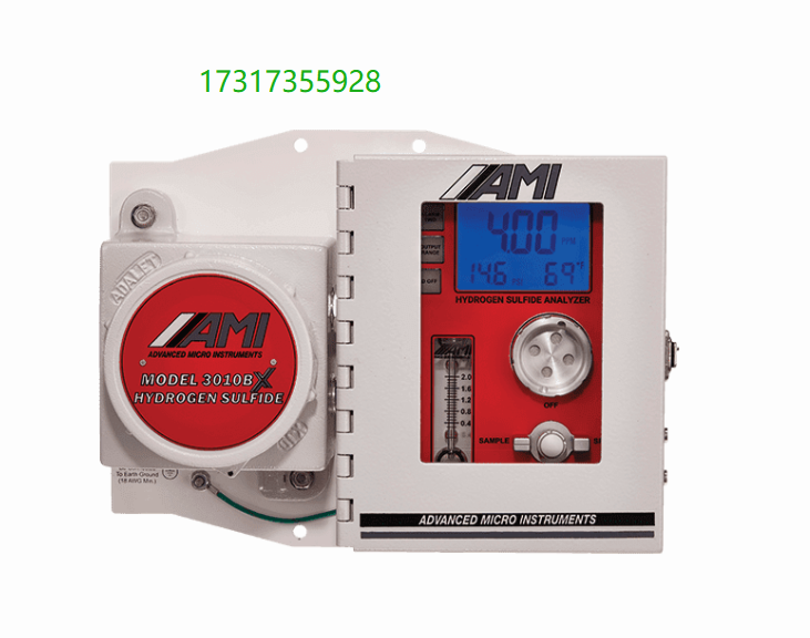 Advanced Micro instruments 3010BX硫化氢检测仪,硫化氢气体分析仪,硫化氢测定仪