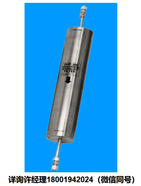 美国Advanced Photonics Inc 一次性卤素废气过滤器 Model DHF-200  API进口代理