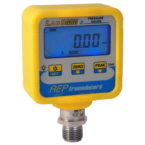 意大利AEP-Pressure gauges-LABDMM2系列 压力表