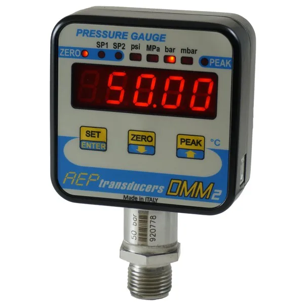 意大利AEP-Pressure gauges-DMM2系列 压力表
