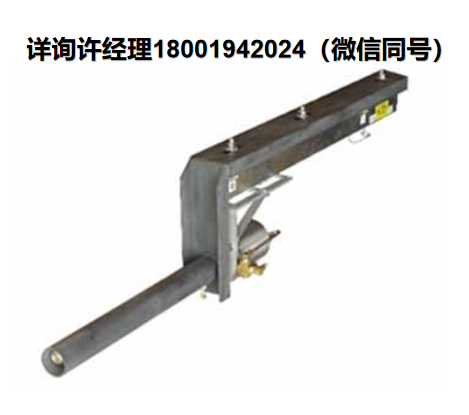 美国Bass Electronics CF系列 树皮/猪燃料锅炉高温摄像机，实时监控燃料在炉排上的投料状况及其对燃烧过程的影响、BASSCAM高温摄像机、 进口代理美国Bass Electronics 