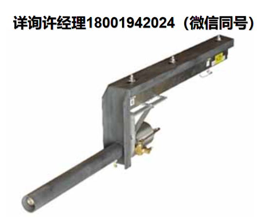 美国Bass Electronics CF系列 石灰窑高温摄像机、BASSCAM高温摄像机、 进口代理BASSCAM
