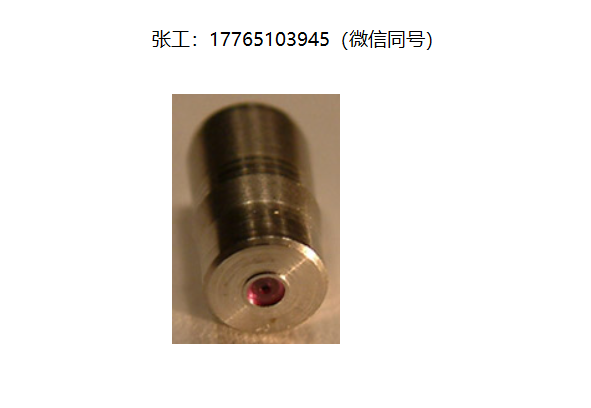 Bird Precision RB82702系列不锈钢精密孔板带刺插入件