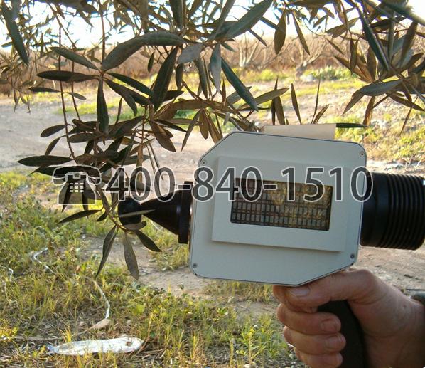 Brimrose光谱仪在农业食品领域的应用-分析橄榄及其它水果的成分