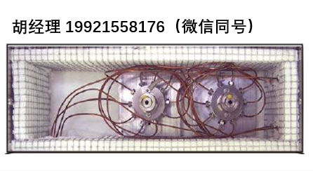 Bucksci 10端口气体取样阀电动执行器 空气浓缩器 加热阀烘箱 吹扫捕集自动进样器