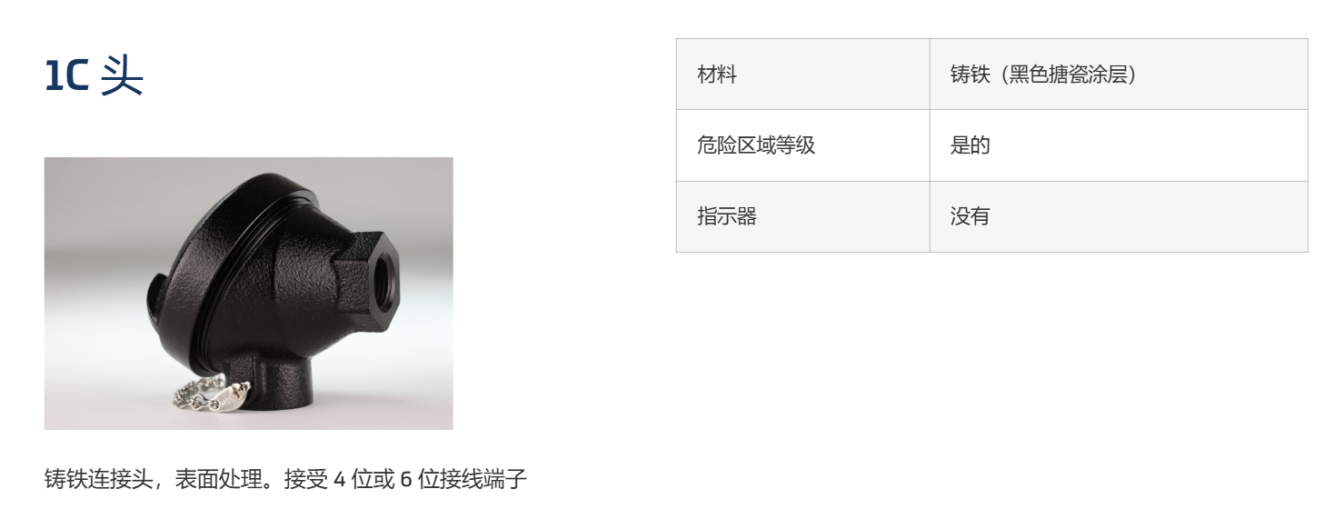 BURNS ENGINEERING 1c头 环氧树脂涂层的盖子用氯丁橡胶 O 形圈密封，并用不锈钢链条固定，内部安装螺纹孔模式支持安装接线端子或变送器