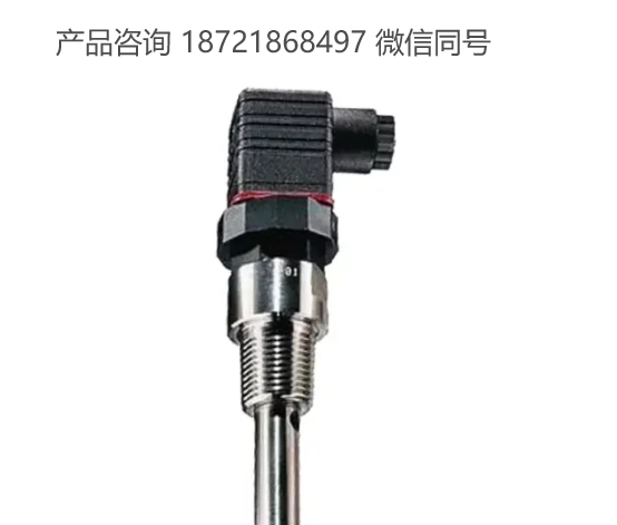 保加利亚 Comeco CSK 电导率传感器