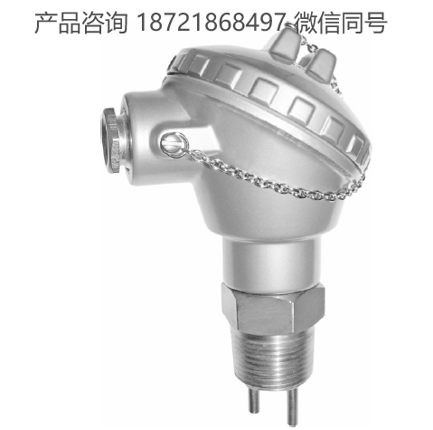 保加利亚 Comeco PSF100 流量指示器 流量传感器