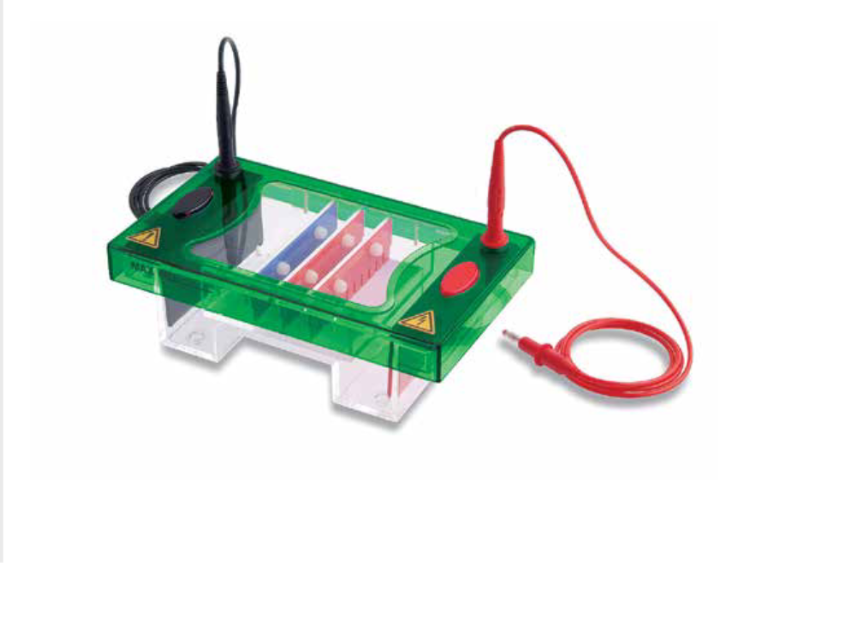 Consort,电泳槽,EHS1050-SYS,EHS1100-SYS,EHS1101-SYS,EHS1102-SYS,EHS1200-SYS,EHS1201-SYS,EHS1202-SYS,EHS1300-SYS,EHS1301-SYS,EHS1302-SYS,EHS1303-SYS