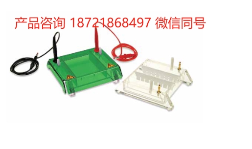 比利时 Consort EHS1000 系列 水平电泳 EHS1050/EHS1200/EHS11300