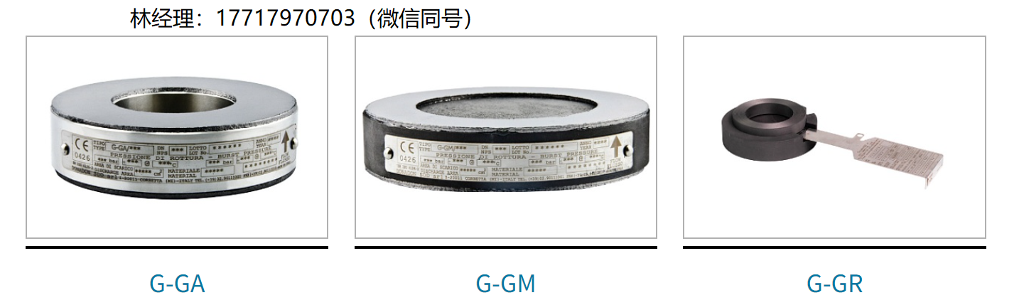 意大利,DonadonSDD,G-GA,G-GM,G-GR,石墨爆破片,耐高温爆破片,抗腐蚀爆破片,用于高温和腐蚀性液体的爆破片