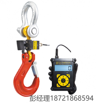 Eilon Engineering 起重机秤 Ron吊秤系列