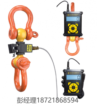 Eilon Engineering Ron 2125有线测力计 配备可拆卸显示屏