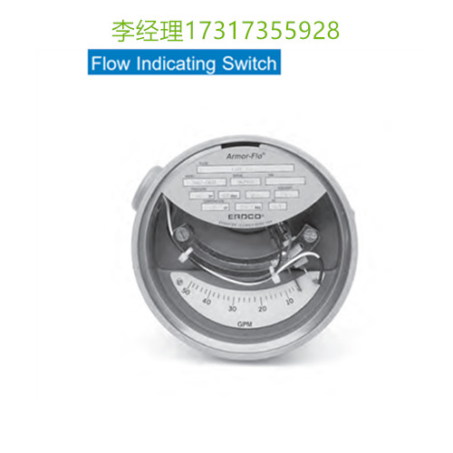ERDCO Engineering 液位计