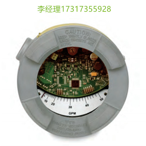 ERDCO Engineering 流量计