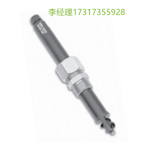 ERDCO Engineering 探头