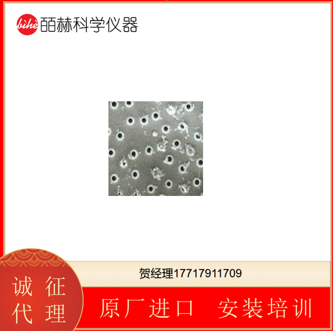 ErtelAlsop硅藻土助滤剂Celpure®高纯度化学过滤