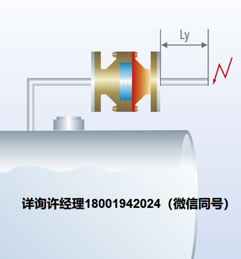 德国Flammer GmbH  在线爆燃阻火器:耐久燃烧 Inline Detonation Flame Arrester：Endurance Burning、在线缓爆火焰阻止器、Flammer 阻火器进口代理