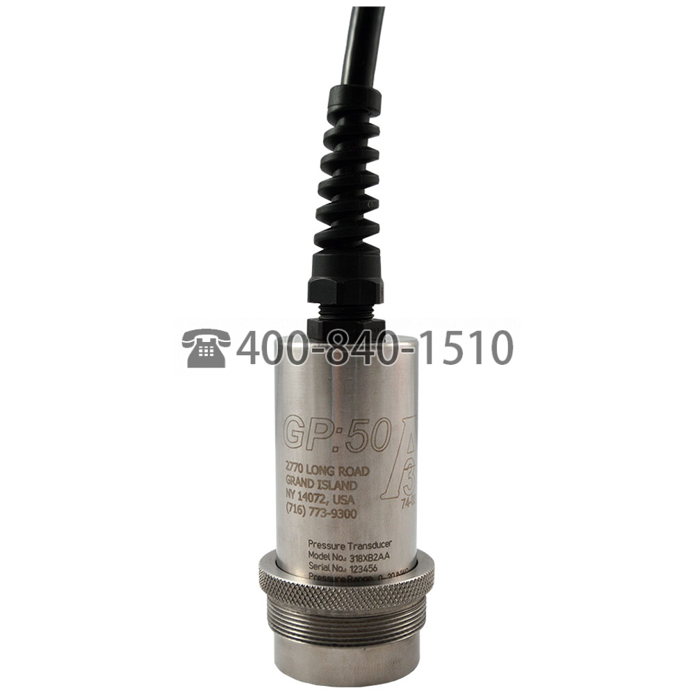 美国GP：50-压力变送器Model 218/318 | Sanitary Flush Diaphragm Pressure Transmitter