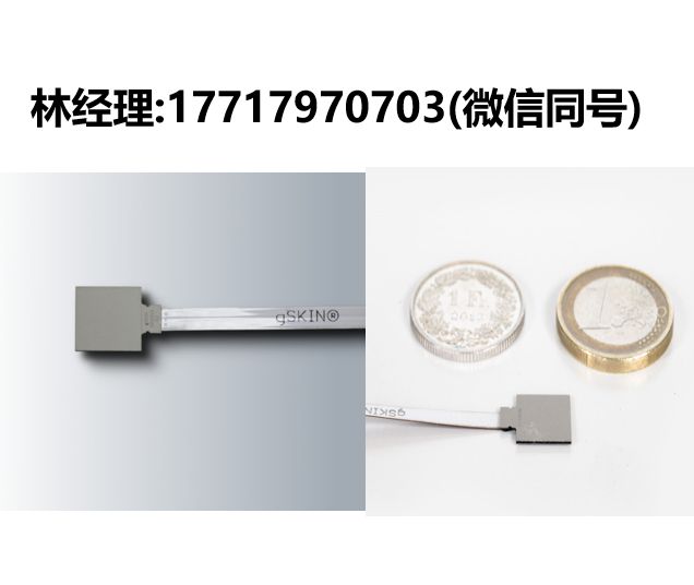 瑞士,greenTEG,gSKIN®-XP,XP 26 9C,XP 27 9C,热通量传感器,热流传感器
