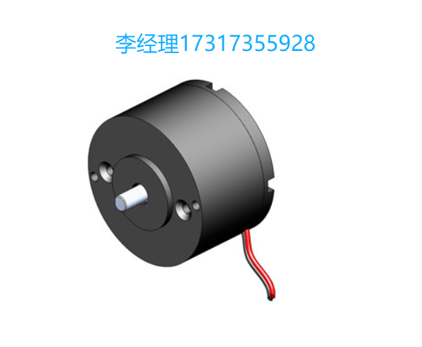 H2W Technologies音圈电机