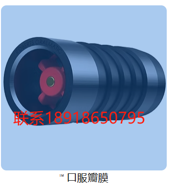 美国,Halkey Roberts,泄压阀,无针可擦拭阀,充气阀,船用充气阀,泄压产品,鲁尔激活阀,医用瓶盖，720ROA Oralmatic™ 管端阀用于直接插入口腔管中
