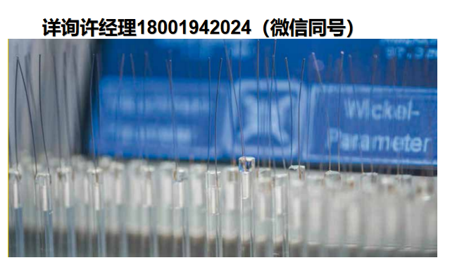 H. Heinz Meßwiderstände GmbH 温度传感器 Platinum RTDs 铂电阻温度探头