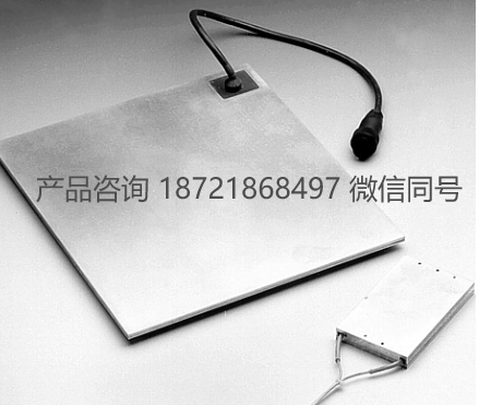 德国 HORST HMP带可更换加热导体和温度传感器的电热板