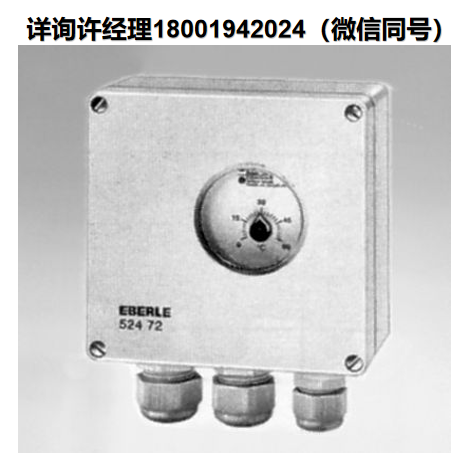 德国 HORST GmbH 温控器 HTU -带传感器的通用调节器 061230  HORST进口代理