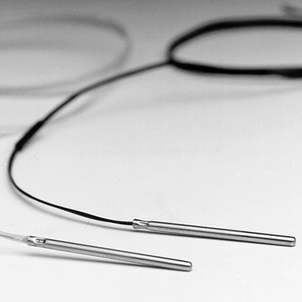 德国HORST GmbH-温度传感器-Pt100 Insertion Sensor 插入传感器