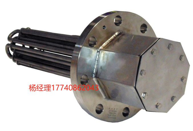 美国  INDEECO  非危法兰浸入加热器