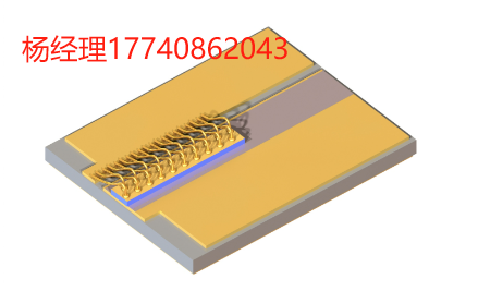 Innolume 多模半导体 激光管 广域激光器（载流芯片） 底座上 1020nm 的广域半导体激光管