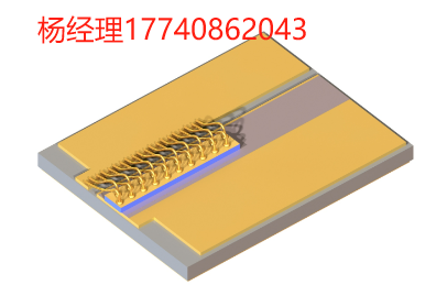 Innolume 多模半导体 激光管 广域激光器（载流芯片） 底座上 1120nm 的广域半导体激光管