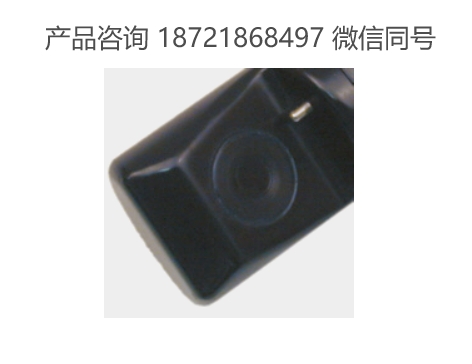美国 insiteIG Model10系列溶解氧传感器