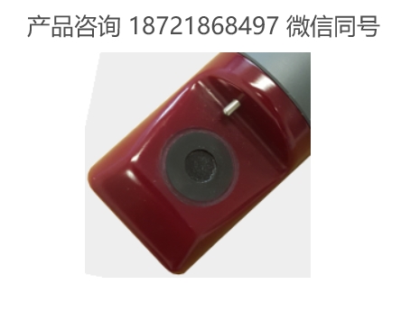 美国 insiteIG PDO 便携式溶解氧传感器
