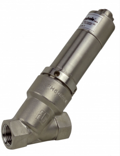 意大利 ITALVALVOLE Check valves 止回阀 12484 – IVCP BACK-PRESSURE V. DN015 CF8M BSPP PTFE -ADJ.0.5#3.5BAR