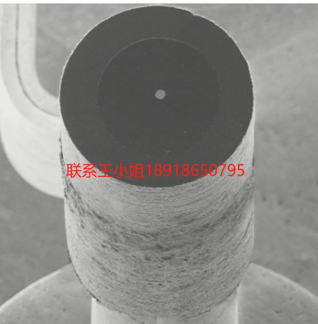 ES-423GR保护环六硼化镧（LaB6） 阴极，美国，美国Kimball Physics, Inc. ,离子枪,电子枪,阴极，探测器，自由电子激光器