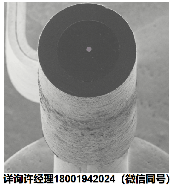 美国Kimball Physics ES-423GR 环形栅六硼化镧 (LaB6) 阴极 Kimball进口代理