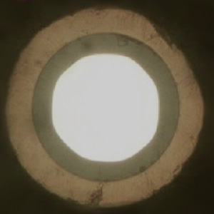 Le verre fluore  ZFG 八边形核心多模光纤