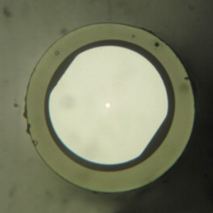 Le verre fluore 稀土掺杂双包层光纤