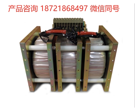 英国 LINTRON 封闭式环形变压器
