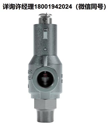 美国Mercer Valve Company Inc 9100系列 螺纹连接“C”孔安全泄压阀、Mercer阀门进口代理