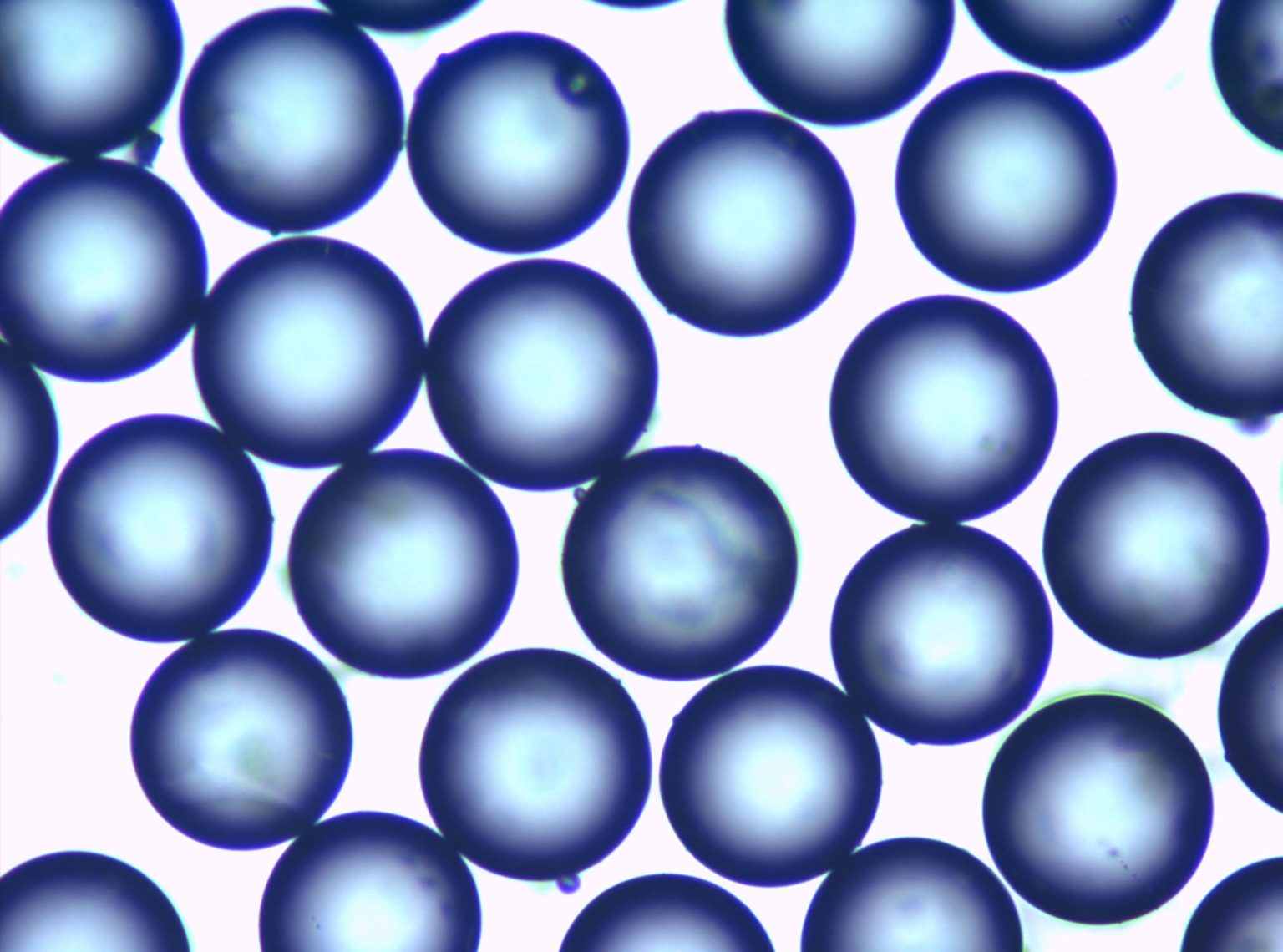 美国 Mo-Sci Class IV Microspheres  Class V Microspheres  Class VI Microspheres 微玻璃球