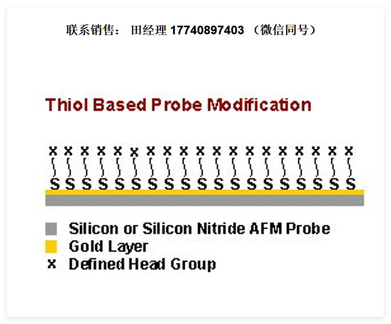Novascan微球探针，Novascan探针，AFM微球探针，AFM探针