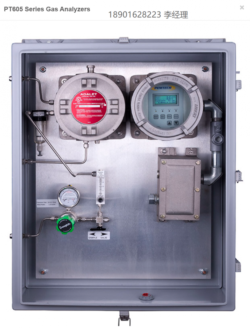 美国PemTech气体分析仪、PT605 系列气体分析仪、CO2 & H2S双通道气体分析仪