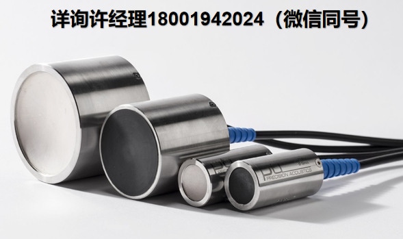 Precision Acoustics Ltd 超声波传感器PA Piezo-ceramic transducers 压电陶瓷换能器 PA进口代理