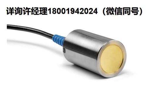 Precision Acoustics Ltd 超声波换能器 PVdF换能器 PA进口代理