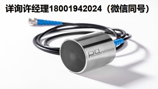 Precision Acoustics Ltd 超声波换能器 Shear wave transducers 剪切波换能器 PA进口代理
