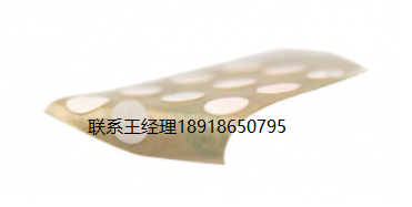 自粘接pH值传感器SP-HP5-SA